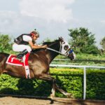 Sports Live Betting