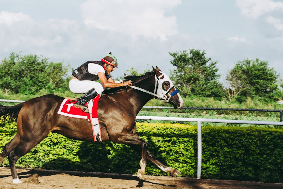 Sports Live Betting