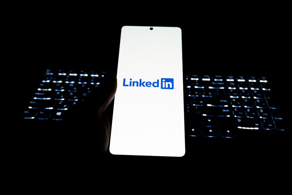 Backlink Company