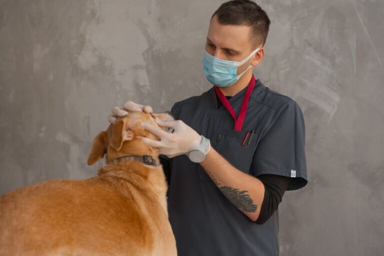 clínica veterinaria reserva